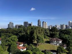 Balmoral 8 (D10), Condominium #577525931